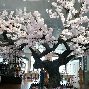 �����ľ���җ��Ұײ˲��}ˮ���߲˲���䓵������B�@�rׯ��ؔ[��