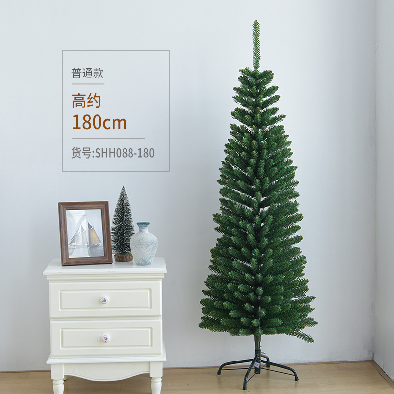 1,8 m árbol verde