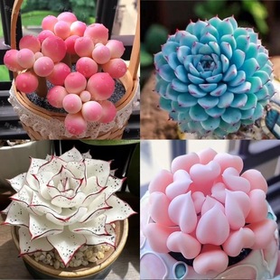 ¿ֲԽMςӰۼtֺBͺkݗ