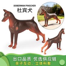 �羳�����ͯʵ�Ķ���ģ�Ͷű�Ȯ���Ȯ����Ȯ��ţȮ��߳��ذڼ�