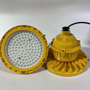 100W LED explosion-proof lamp IIC round explosion-proof