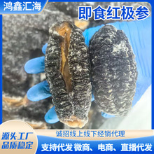 �t�O���S�Ҷ������l��̼��ô���u�t�O�����O�t����ʳ������؛