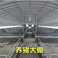 椭圆管养殖大棚骨架全套养鸡棚猪棚牛棚羊棚鸭棚鹅棚保温大棚