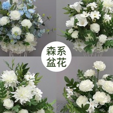 �¿�ߙn�軨·������Y·������̨T̨����ӭ�e�^�b� �Ʒ��滨