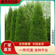 һl؃r~ ɰؘ  ~ Ĺ ؘ 