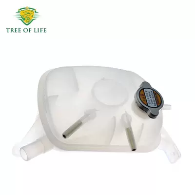 25430-F3300 25430-g4300 Suitable for Hyundai Kia New Radiator Fluid Reservoir Tank (Soyutma sisteminin digər hissələri)