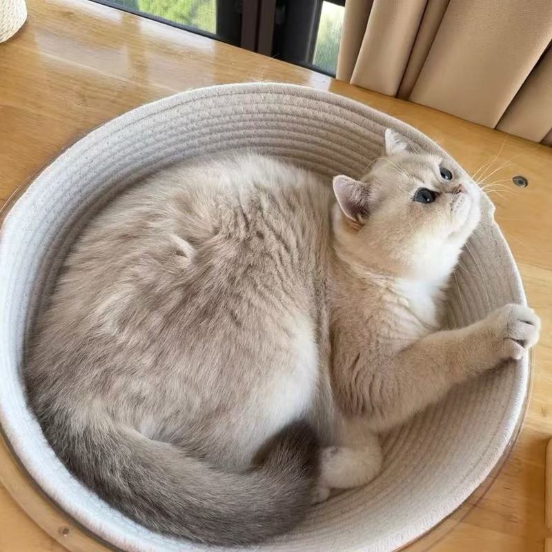 太空舱猫窝垫子棉绳编织猫爬架垫子透气隔凉四季通用耐抓磨可水洗|undefined