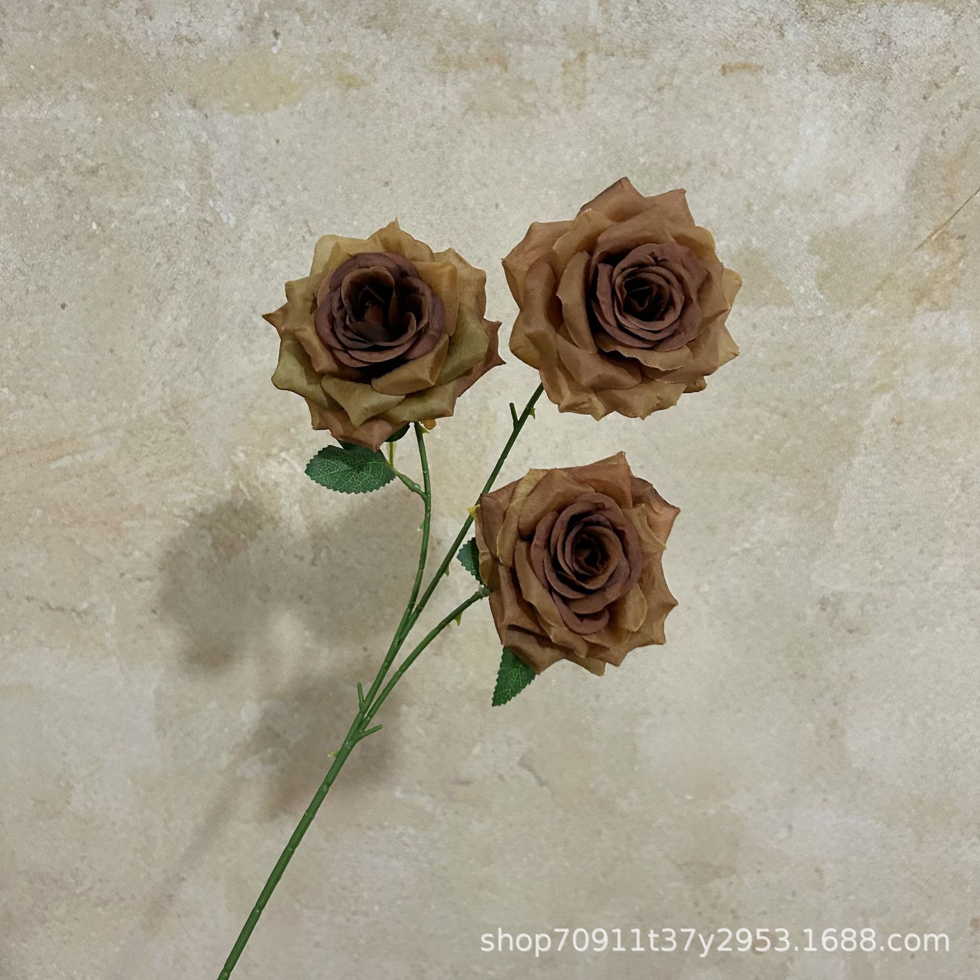 잎이 있는 다크 브라운