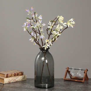 �Wʽ��đ����ٻ��Ҿӵ����b���ֲ���c�zӰ����Gֲ�F؛���l