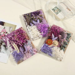 干花团扇永生花diy材料包手工课贺卡干花袋装材料精致花材批发