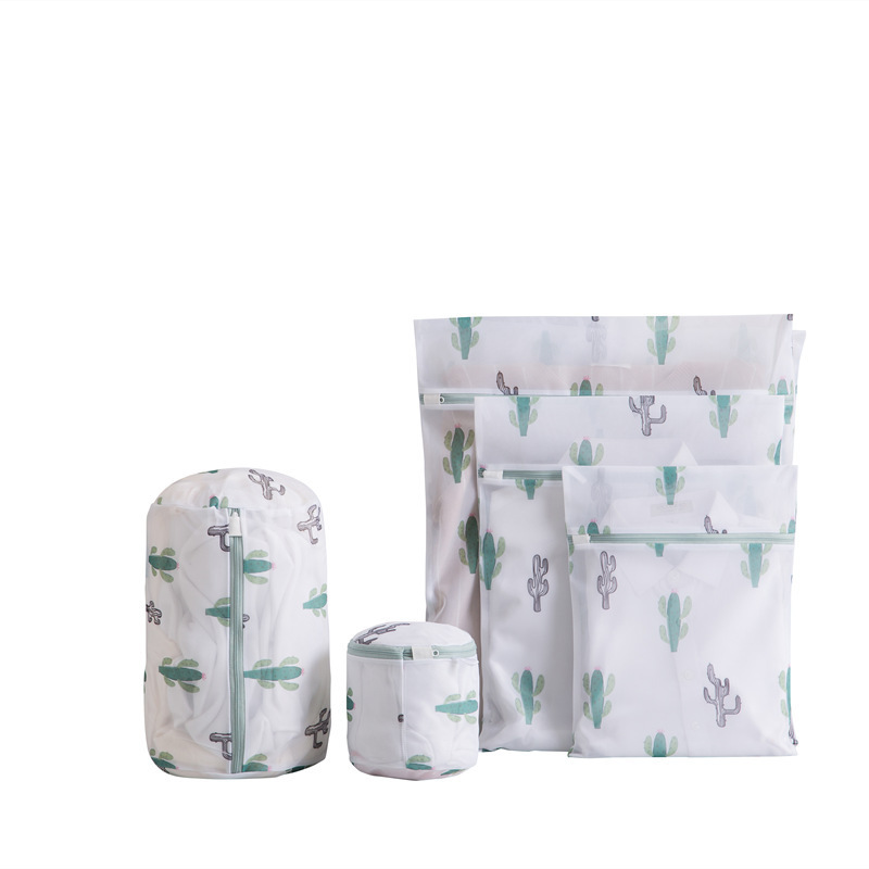 Juego de cinco piezas de cactus (pequeño y mediano, cilindro, bolsillo para el pecho)