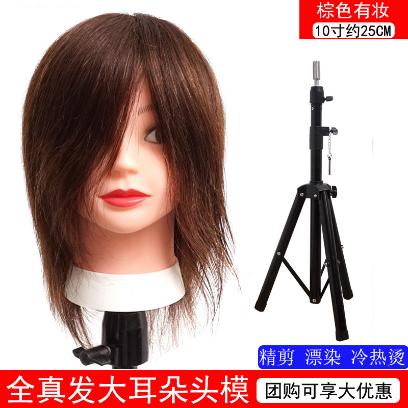 Todo cabello verdadero 10 pulgadas marrón + soporte de piso grande