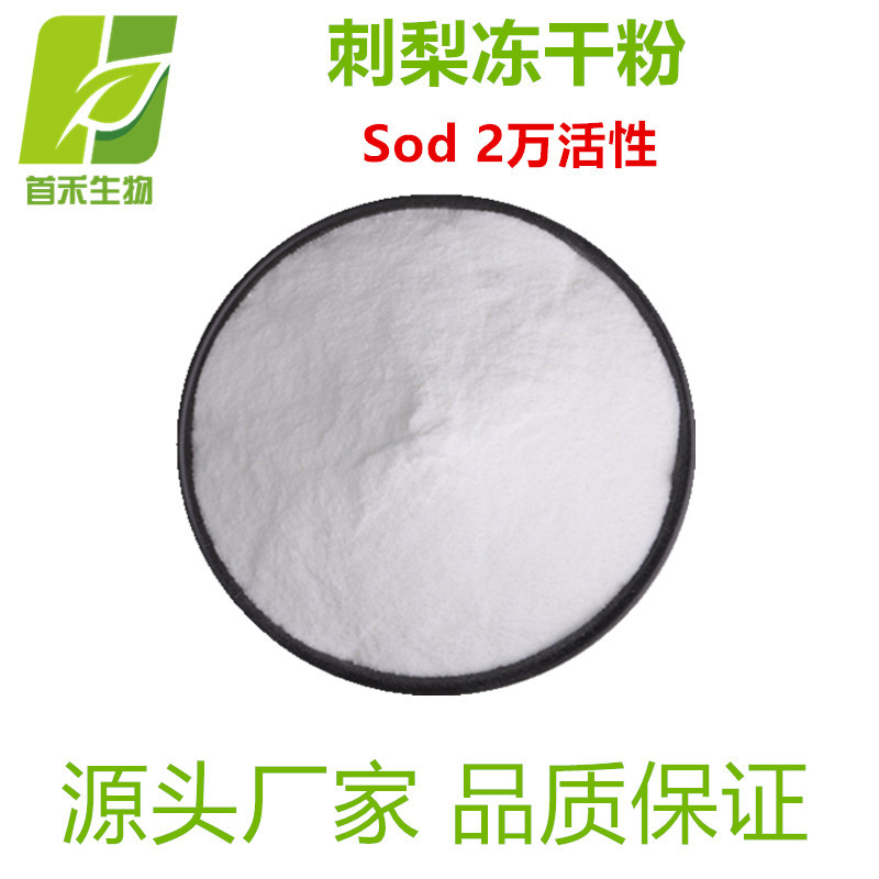 刺梨冻干粉   维C含量5% SOD2W  刺梨提取物   首禾 厂家现货