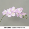Short model 9 fork Phalaenopsis light purple