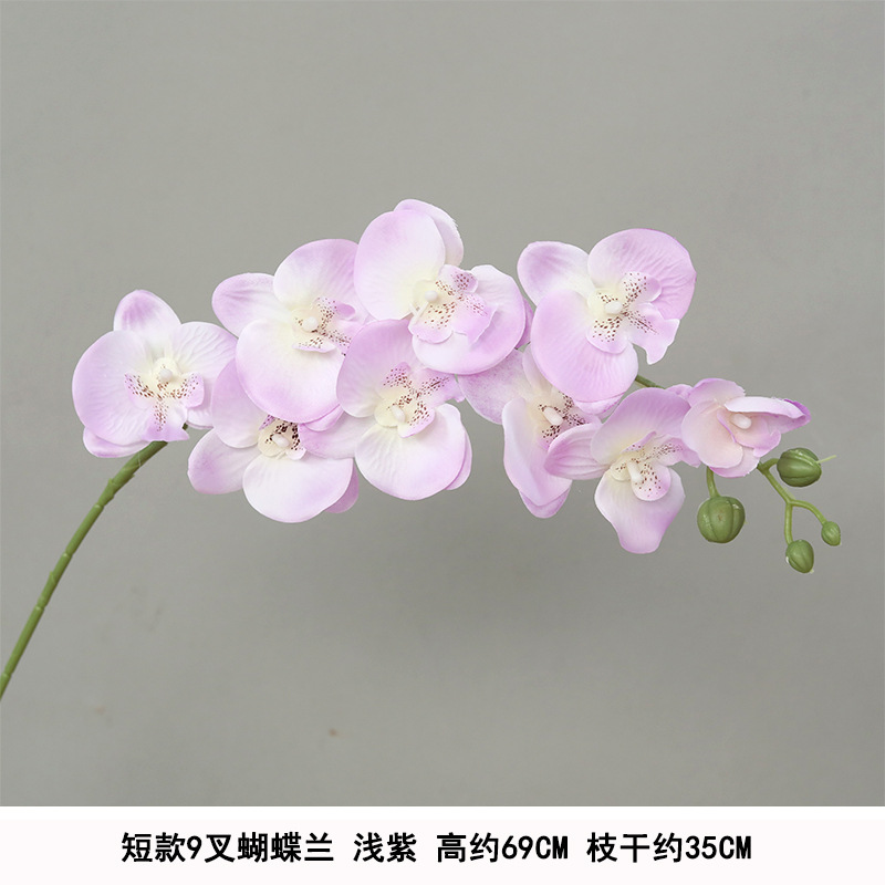Short 9-pronged phalaenopsis light purple