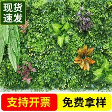 ���젝�ݿ羳���l���ϾGֲ���걳�����S���҃ȾW�t�����b�ֲ�