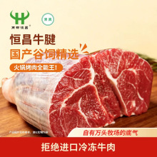 商都恒昌原切牛腱肉国产谷饲生鲜牛肉酱卤烧烤炖煮食材清真