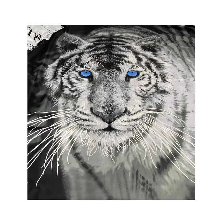 长兴厂家 化纤磨毛压花布 全涤染色磨毛布 宽幅印花磨毛布