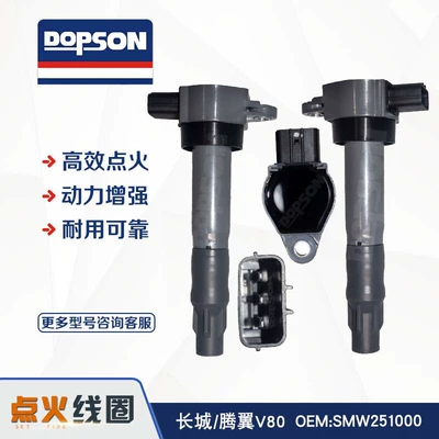 Smw251000 Is Suitable for Great Wall/Tengyi V80 Brand New High-Quality High-Performance Ignition Coil (Alovlanma bobini (Babinalar))