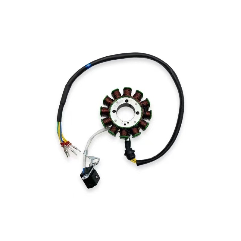 Suitable for Extreme Thieves Boserkevis Zongshen Cbs300/Nb300 Engine 8-Level 12-Level Magnetic Steel Coil