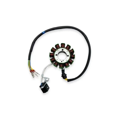 8-Level 12-Level Magnetic Steel – Motorcycle engine and accessories - level-12-coil
