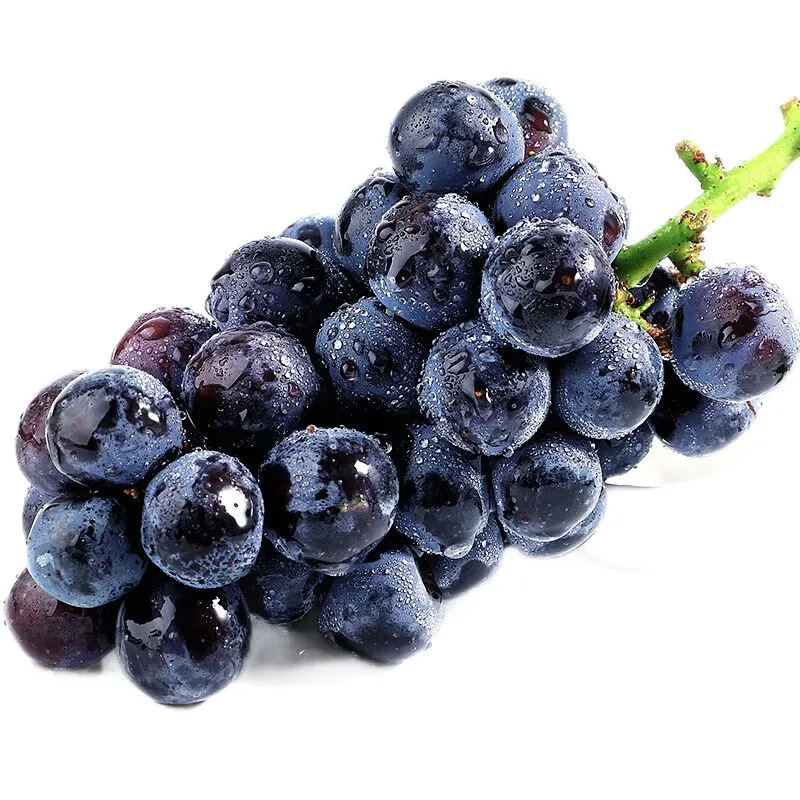 辽宁巨峰葡萄当季水果巨峰葡萄包邮新鲜水果葡萄一件代发