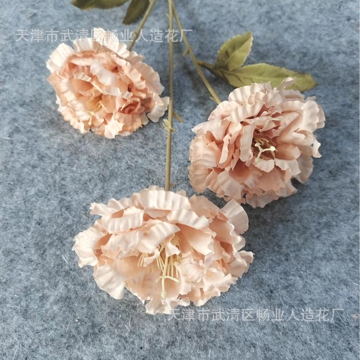 3 head shallow coffee