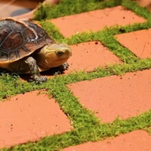 �쾰�u�S�������쾰�մu̦�\䁵؉|���b�Ʒ�t�u������������u