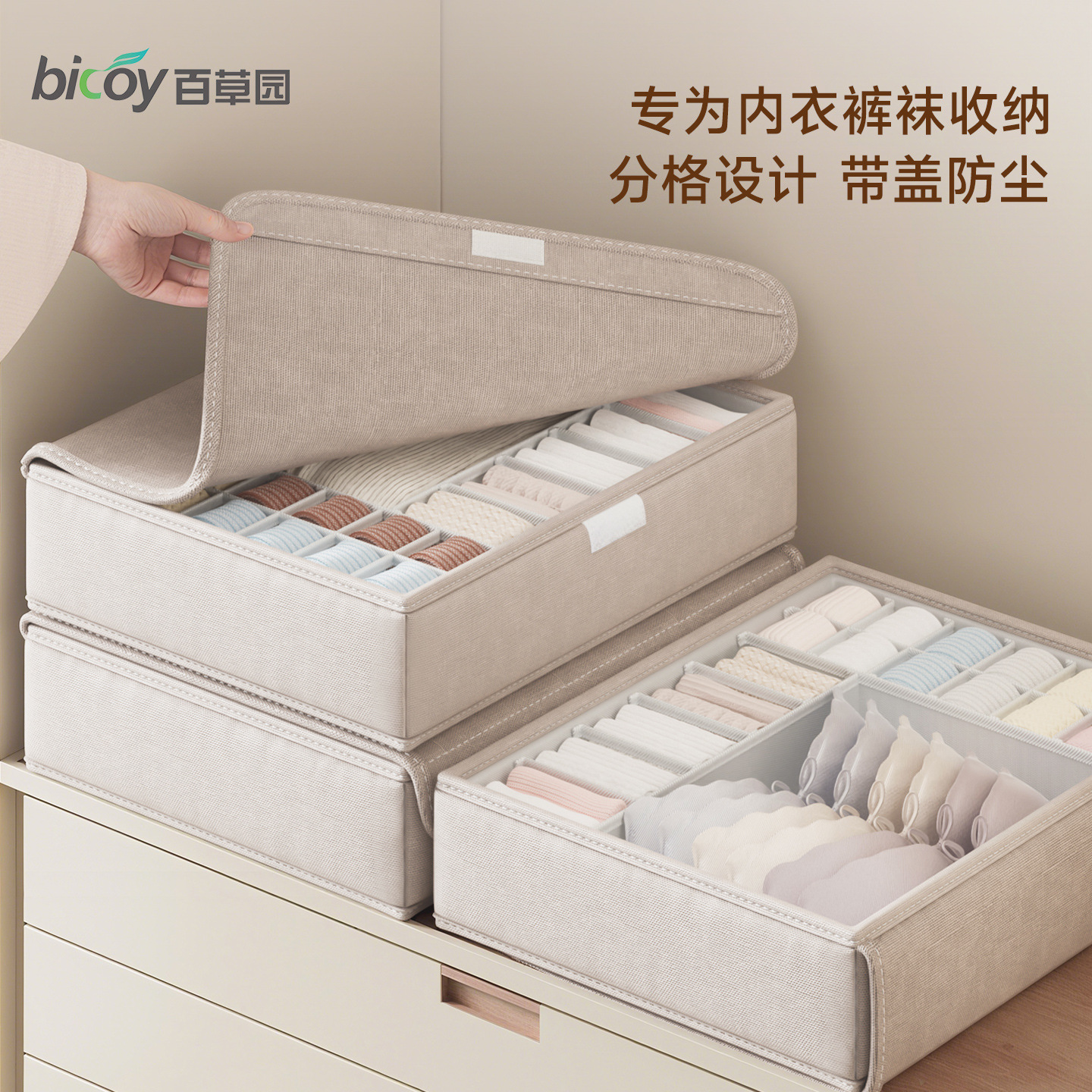 Baicaoyuan Underwear Storage Box, Household Intimate Clothing Organizer, Three-In-One Drawer Storage and Sorting Box