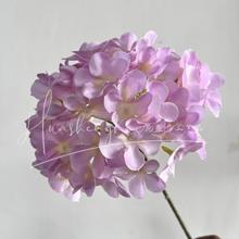 90Ƭ��֧������滨��c����·�����廨�Ƶ�ҾӔ[���ٻ����컨