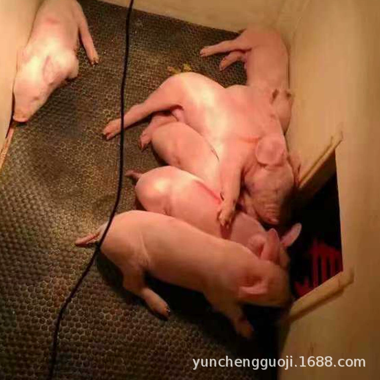 Поросенок изоляционный коврик резиновый коврик для животноводства высокое качество износостойкий свинодом коврик для ухода за свиньями коврик для позиционирования сеять бар площадку