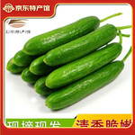 ����ʥŮ�������ƹ�����ײ�ˮ��С�ƹ�С�����߲���װ �����ƹ�