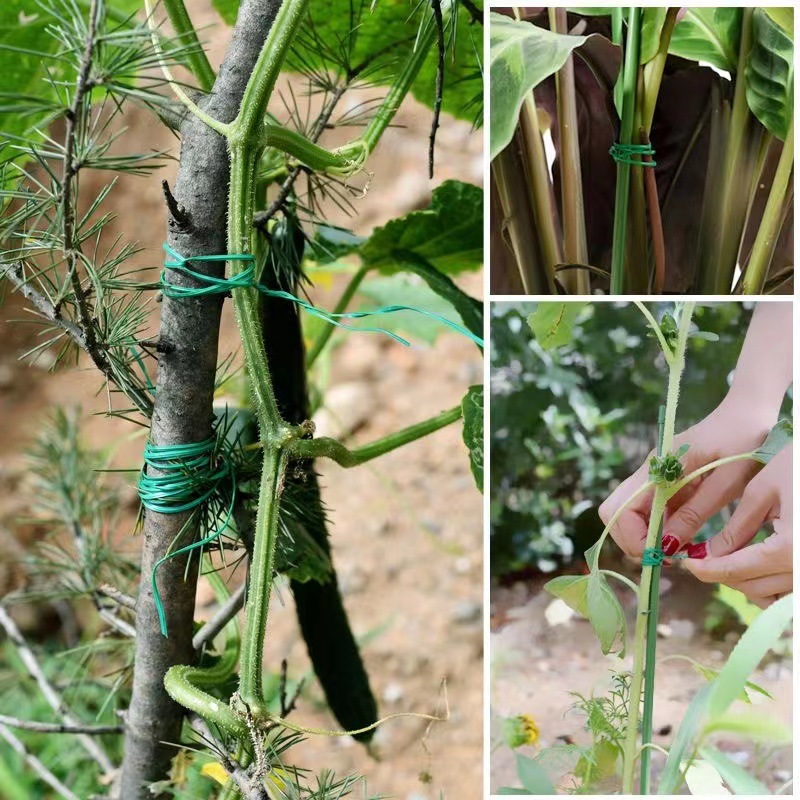 Plastic-Coated Iron Wire Ties for Climbing Plant Trellises, Plant Binding Wire, Vegetable and Fruit Support, Fixing Ropes for Vines, Seedlings, Green Plants, Outdoor Use