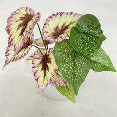 小把7頭尖海棠綠植盆栽 節慶家居裝飾仿真綠葉植物牆配材裝飾葉子