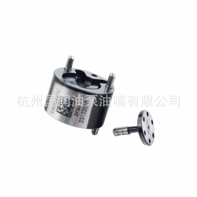 Delphi, Oil pump, nozzle