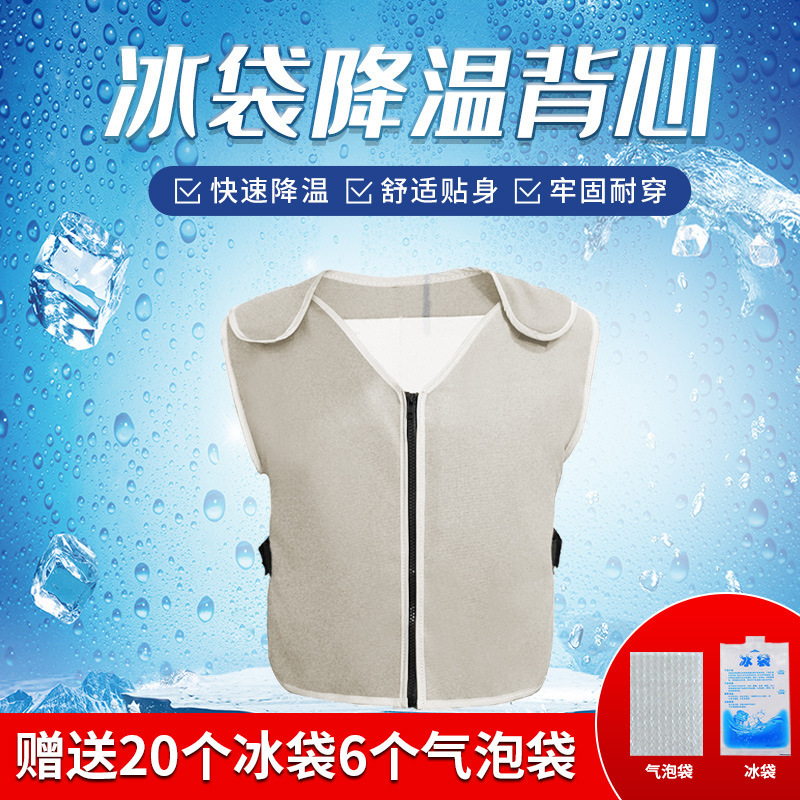 In-Stock Summer Cooling Vest, Large Size Ice-Cooled Clothing, Cooling Artifact, Heatstroke Prevention Ice Pack, Cooling Vest, Air-Conditioned and Refreshing