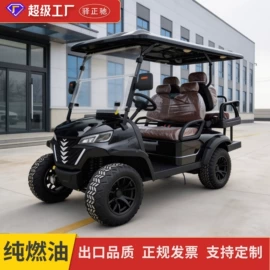 电动观光车;高尔夫球车;其他电动车