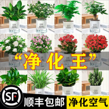 �lؔ��G�}��荻�������С�Gֲˮ����B�k���҃ȶ���ֲ������՚�