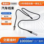 防水金属汽车线束加工 汽车电子线 汽车内系统部控制连接线
