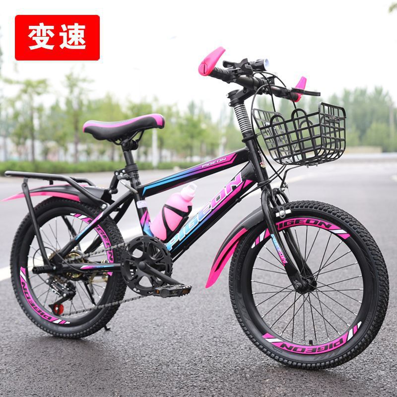 시프트 로즈 레드 독점 에디션-선물 팩