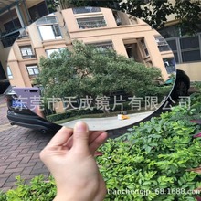 �������RƬ  �������R�� �����������p���R  ��������͸�R���z�R