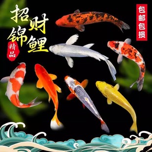 �\���~���~��ˮ�^�p�~���N���ͼt����ɫ�t���~��ˮ���B�ͻ���~��