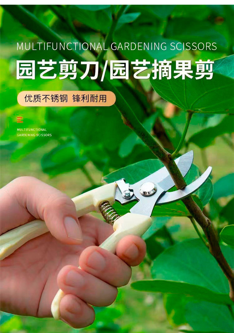 详情-37