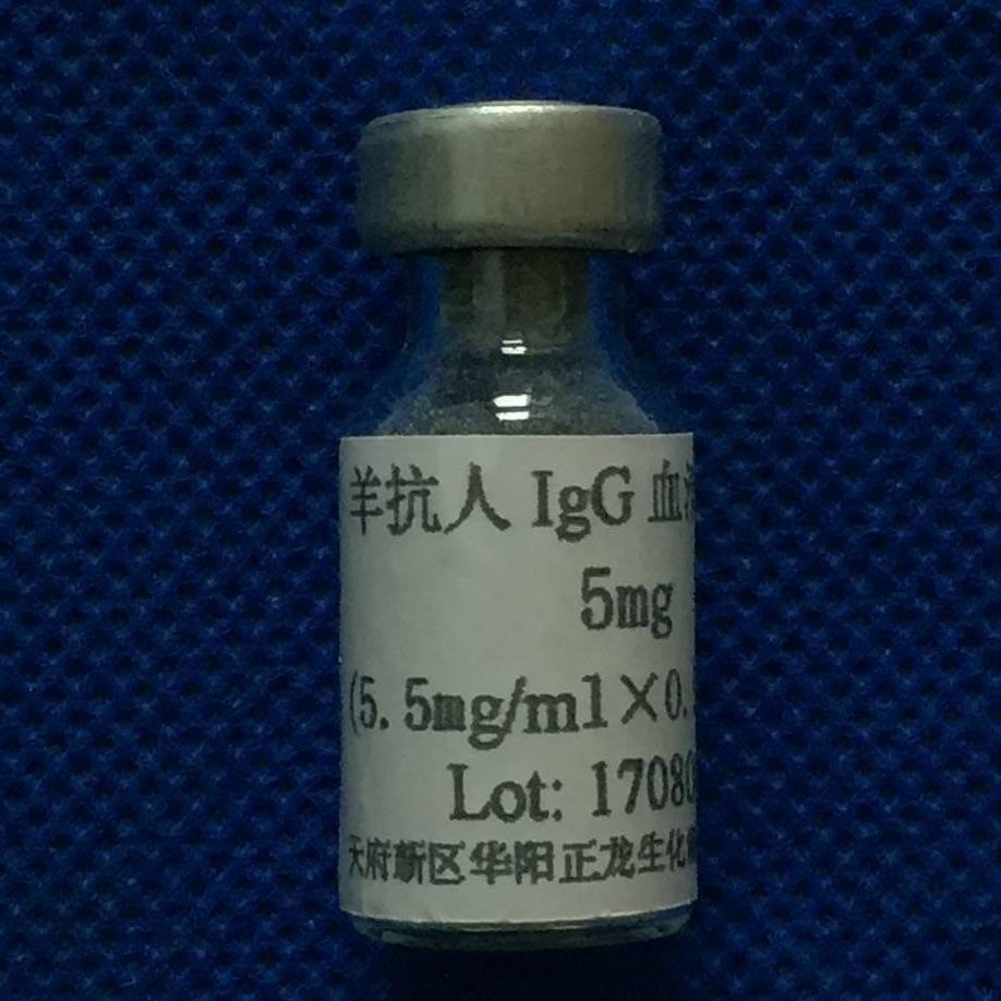 ����IgG����-10MG