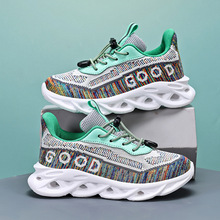 ������Ь2025�¿��\��Ь�w��͸�����������e�ϵ�Ь�ӌW���д�ͯ