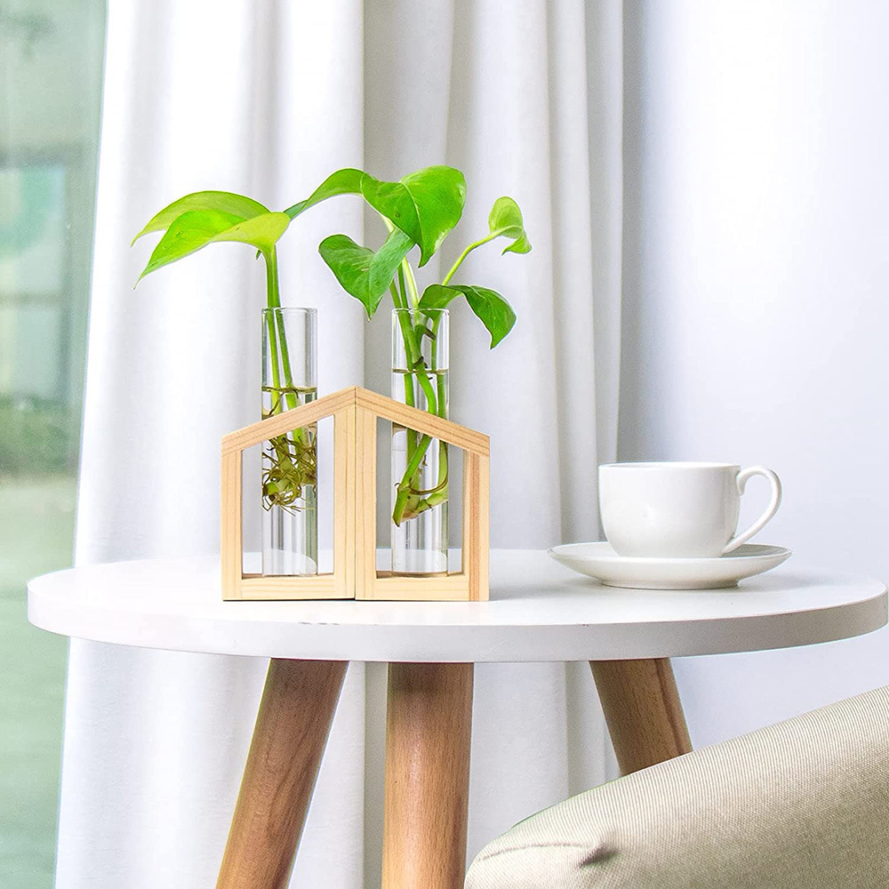 Glass small test tube plants for experiments