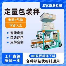 自动称重包装秤 颗粒定量包装秤 15-60公斤玉米小麦装袋机 厂家