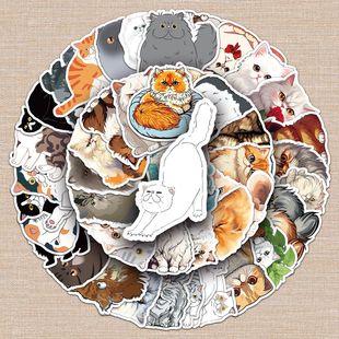 52����˹؈��ͨ�N�����Կ羳�ɐ�؈���b�ˮ����X�֙C�������N��