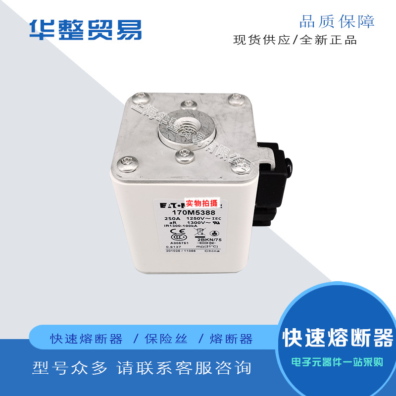 原厂直销170E5266 170E5313 170E5314 170E5321全新巴斯曼熔断器