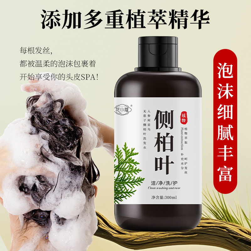 HuangxiaoCao ginseng <unk> <unk> radix <unk> no afectado lateral cypress champú para el cuidado del cabello control de aceite flojo limpio fabricante image 5